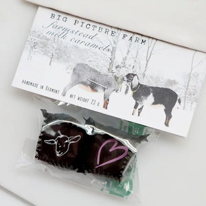 Big Picture Farm Valentine Chocolate Covered Goat Milk Caramels - BKLYN Larder