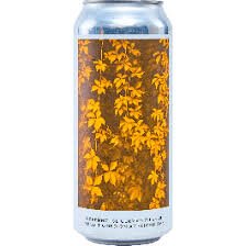 Evil Twin Beers Greenhouse German Pils - BKLYN Larder