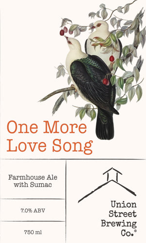 Union Street Brewing Co. Winter's Moon - Dark Ale - BKLYN Larder