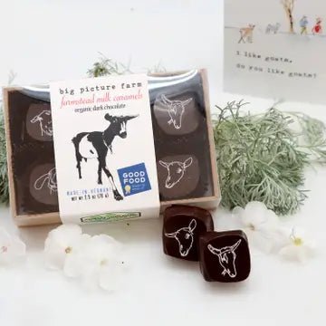 Big Picture Farm Chocolate Covered Goat Milk Caramels - BKLYN Larder