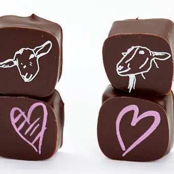 Big Picture Farm Valentine Chocolate Covered Goat Milk Caramels - BKLYN Larder