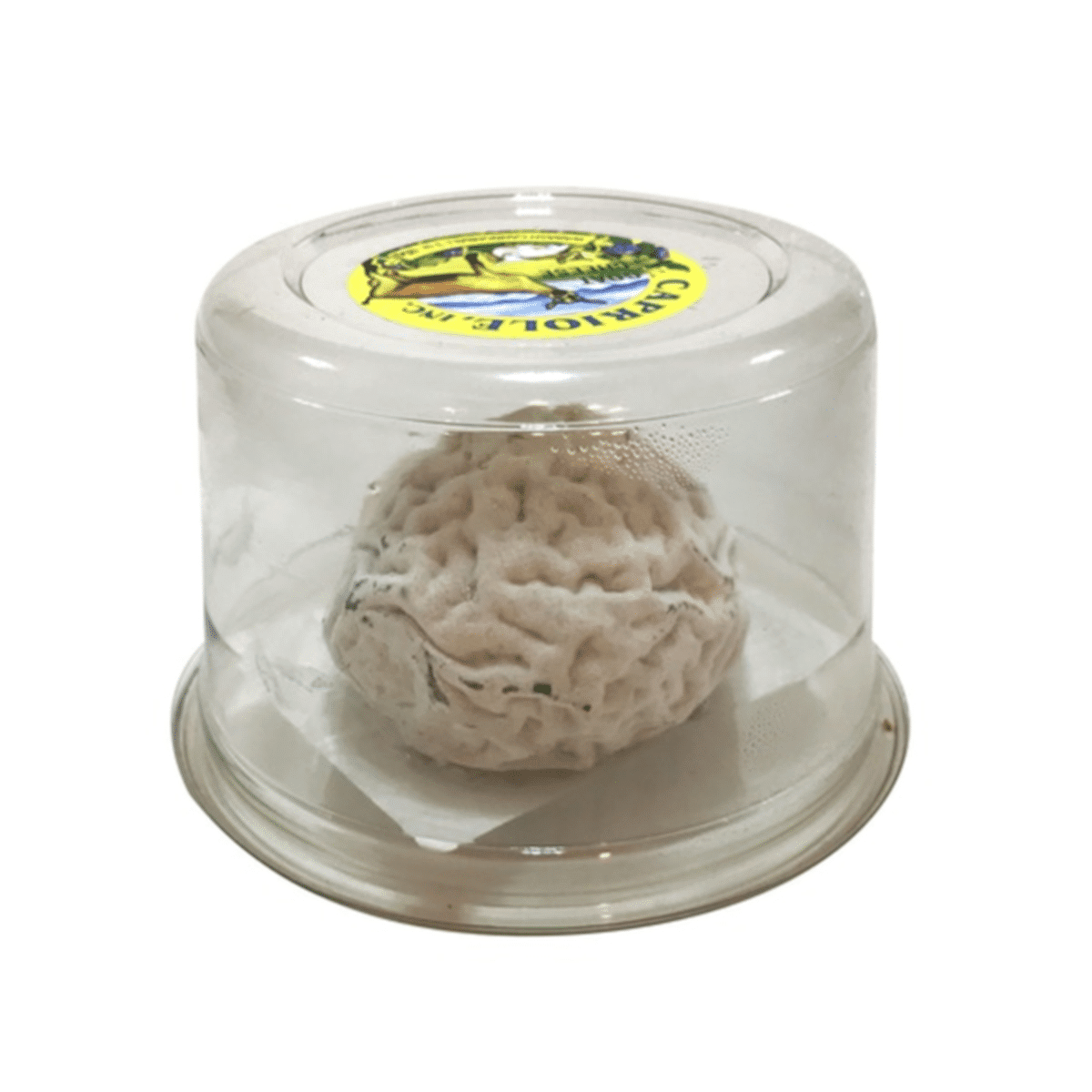 Capriole Goat Cheese Wabash Cannonball - BKLYN Larder