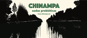 Chinampa Seltzer - BKLYN Larder