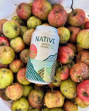 Graft Cider Native - BKLYN Larder