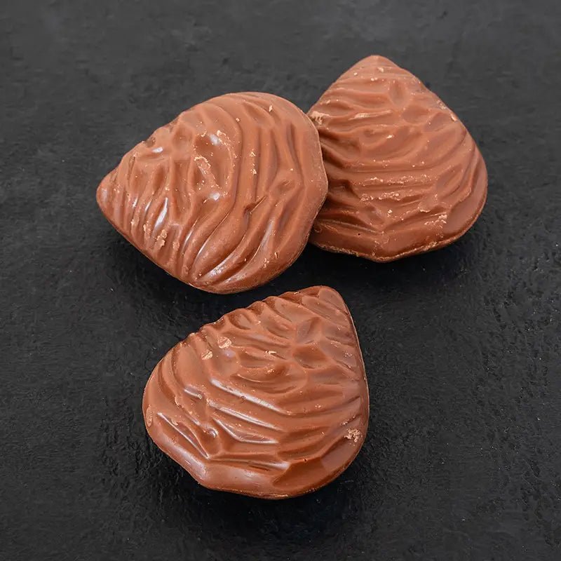 Individual Chocolate Fish and Shellfish Hazelnut and Caramel Oyster - BKLYN Larder