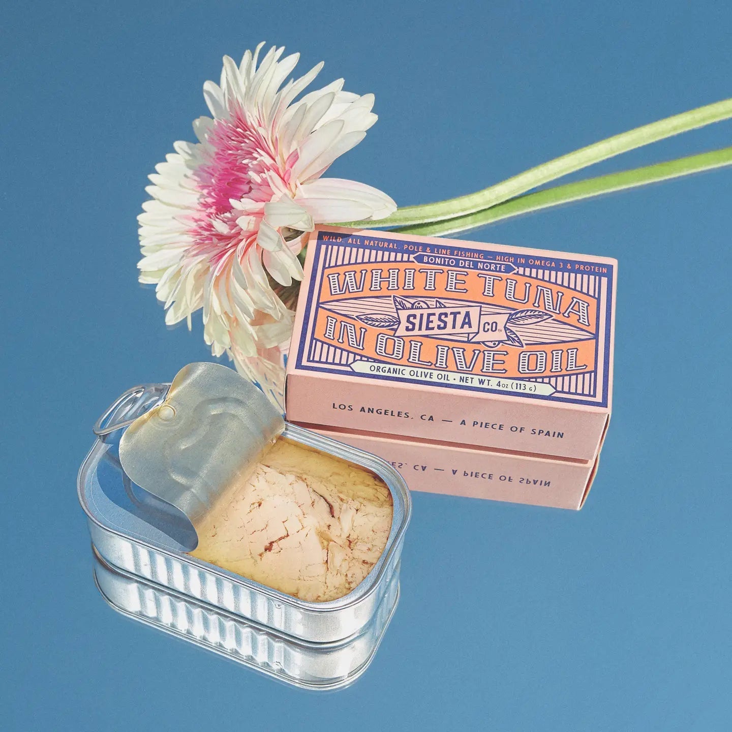 Siesta Co. Tinned Fish and Seafood White Clams in Brine - BKLYN Larder