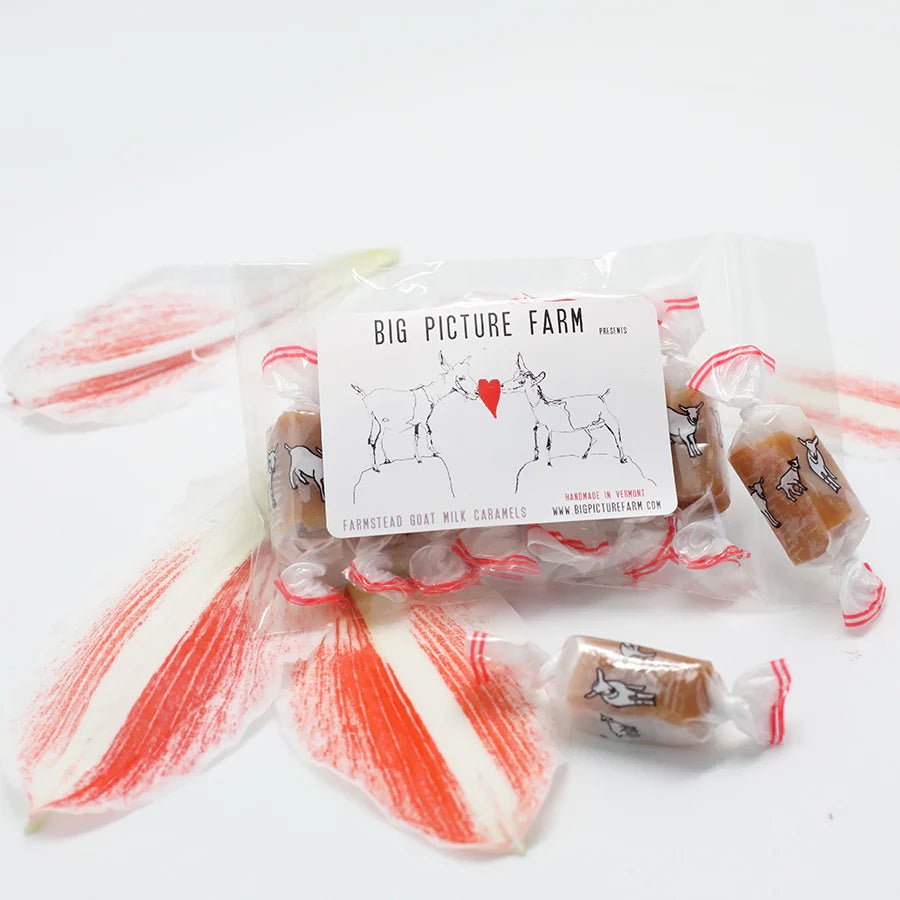 Big Picture Farm Goat Milk Caramels Bag Apple Cider Honey - BKLYN Larder
