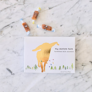 Big Picture Farm Goat Milk Caramels Holiday Gift Boxes Costume Box - BKLYN Larder