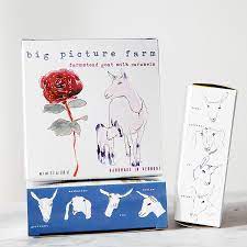 Big Picture Farm Goat Milk Caramels Holiday Gift Boxes Costume Box - BKLYN Larder