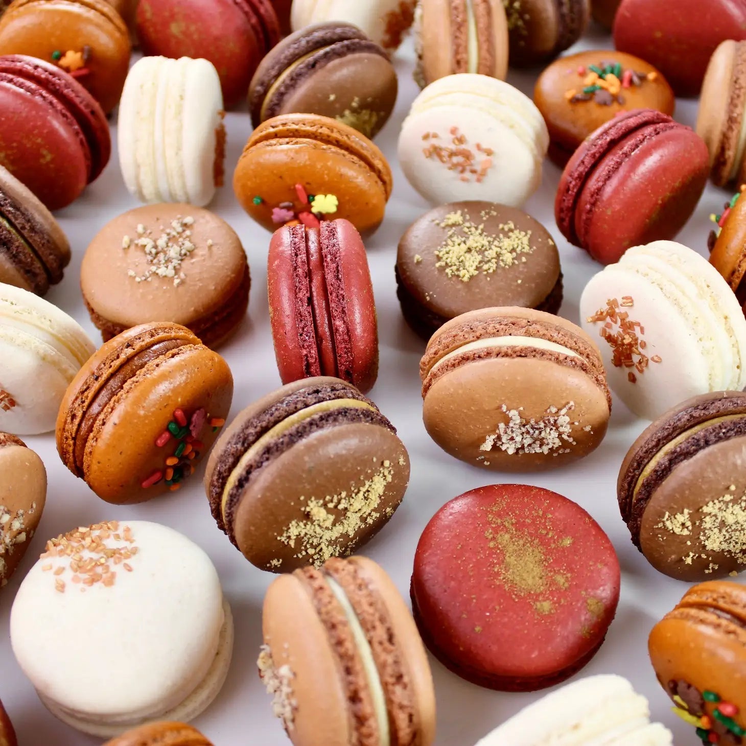 Holiday Macarons Vanilla Bourbon - BKLYN Larder