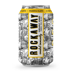 Rockaway Soda Coastal Immunity : Pineapple Ginger - BKLYN Larder